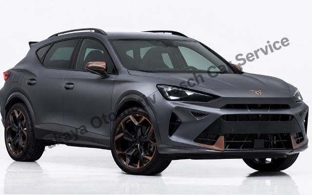 Beylikdüzü Cupra Servisi